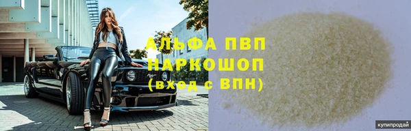 крисы Новозыбков