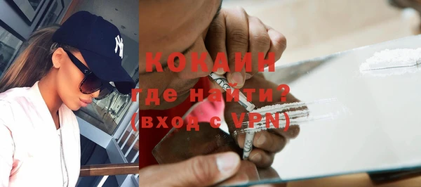 крисы Новозыбков
