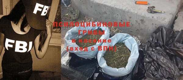 крисы Новозыбков