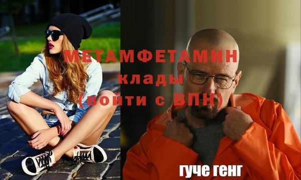 крисы Новозыбков