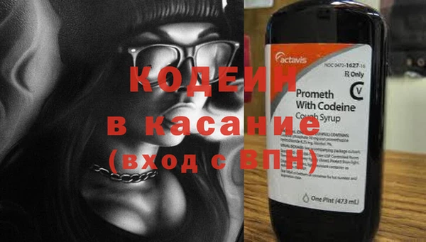 крисы Новозыбков