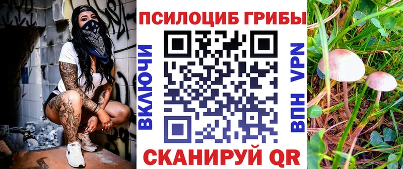 Галлюциногенные грибы Psilocybine cubensis  Псков 