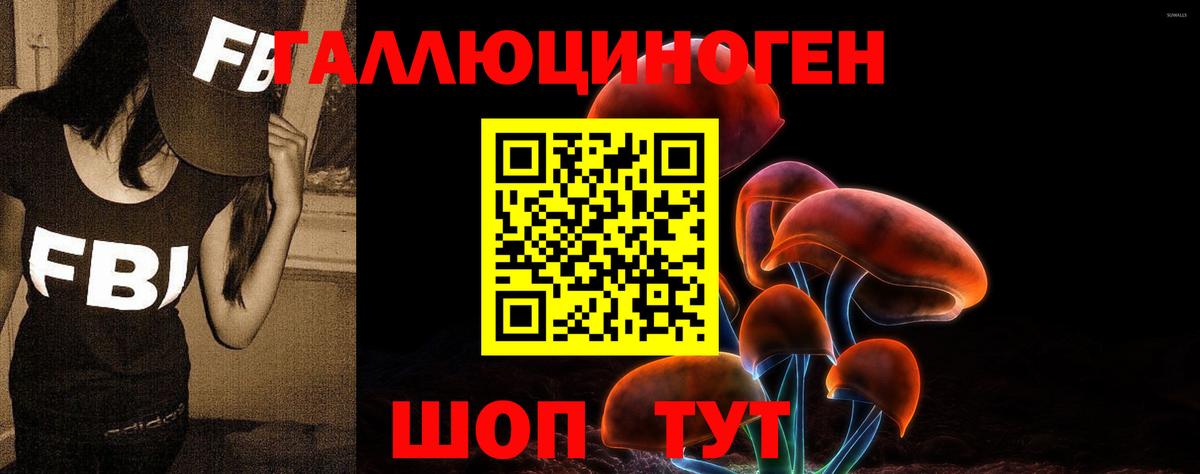 Псков  Псилоцибиновые грибы мухоморы  Вход с VPN 